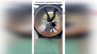Memes that I can't remember the title