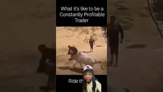 Would you ride the bull 🐂 👀