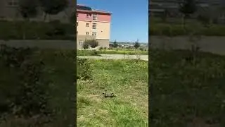 İHA uçuş denemesi