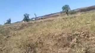 Рождённый в рубашке. Дорога на Изварино охраняется по жёсткому
