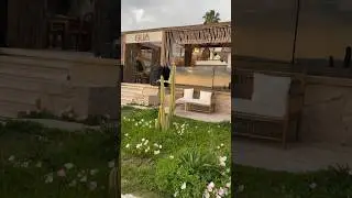 Side, ресторан Gua