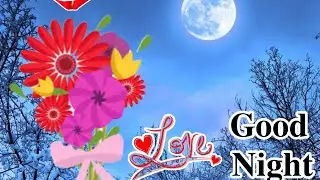 good night status 💙good night video 📹 good night whatsapp status 🥰good night wishes 😴
