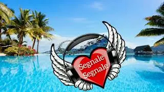 Segnale Segnale ( Cj Tanz )