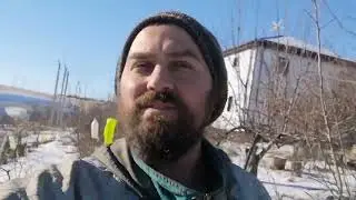 Зима, куриные дела, агростраж, гуси и утки с индюками 🦃🐔🐓🦢