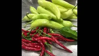 Hot Sauce Recipes from Chef de Cuisine Nick Panter