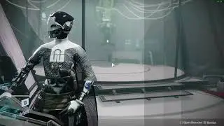 (Old with mod explanation) Ada-1 Has Rage of the Warmind! Get it while you can!