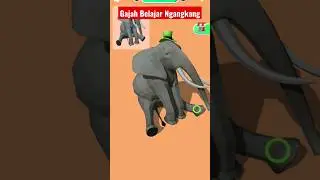 Gajah Duduk Ngangkang 