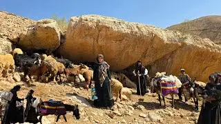 Nomadic migration and cave life | A family that took refuge in a mountain cave to survive