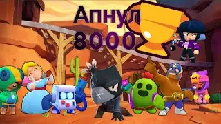 Апнул 8000 Кубков | Brawl Stars