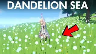 [2.5] Everything We Know About Dandelion Sea (Genshin Impact)