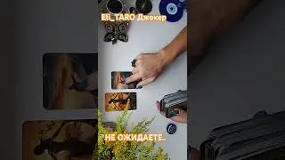 ЧТО НАУЧИТ.. 