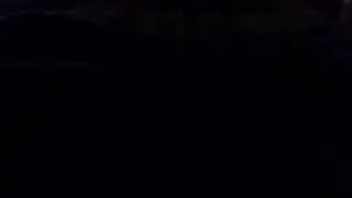 Weird Cat Noises
