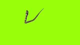 Faint snake green screen। green screen। green screen।ostad animation