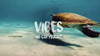 Niwel - Bad Love (Instrumental) (Vibes No Copyright Music)