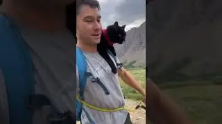 У кота жизнь интересней чем у тебя