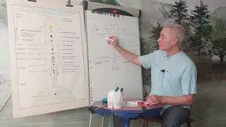 Устойчивость состояний.