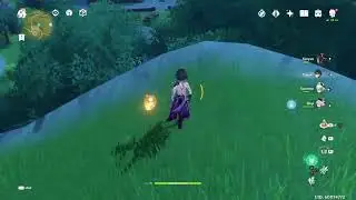 Genshin impact pogostick of death