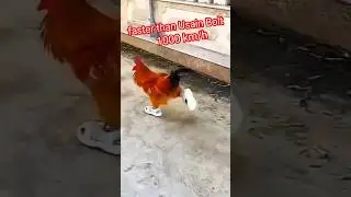 faster than Usain Bolt 🤣 
