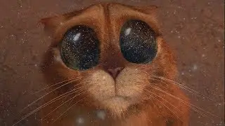 Космические глаза моего кота Сергея