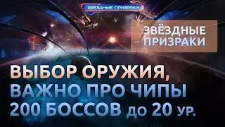#4 Выбор оружия, важно про чипы и 200 боссов - Звездные призраки