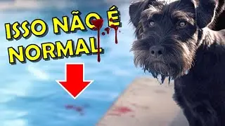Vermelho na urina!