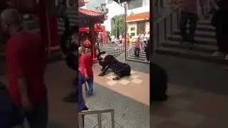 Barongsai show at Toa Se Bio Temple Glodok Jakarta 2023