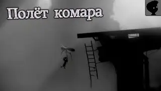Полёт комара - LIMBO #3