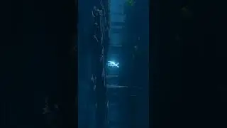 Harry potter expecto patronum #harrypotter
