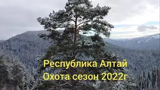ОХОТА С ЛАЙКАМИ - ПО БЕЛКЕ !!!