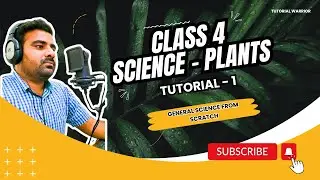 Class 4 | Plants | Science | CBSE
