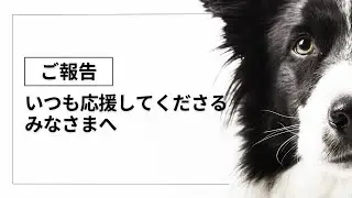お知らせです！これから始まる新しい展開とは？