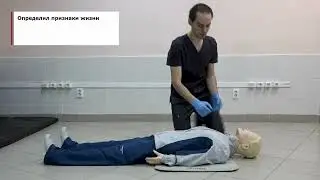 Базовая сердечно - легочная реанимация взрослых и поддержание проходимости дыхательных путей. Сит-4