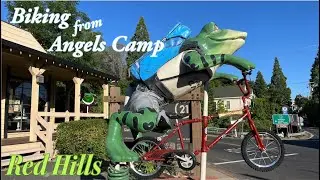 Red Hills MTB - Calaveras Adventure Episode 4