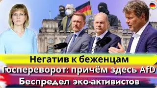 Негатив к беженцам/Госпереворот/Причём здесь AfD/Защита Бундестага/Беспредел эко-активистов