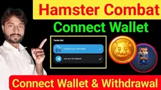 Hamster Combat Mining Airdrop Connect Wallet & Big Update || Hamster Combat Connect Wallet & Update