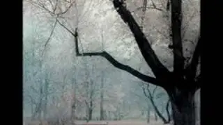 horia moculescu - Te Las  Singuratatea Mea