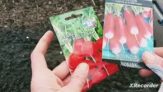 Всё успела посадить!