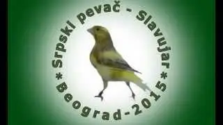 MEĐUNARODNO TAKMIČENJE SRPSKI PEVAČ SLAVUJAR  - DRUŠTVO SLAVUJ 18. 10. 2015