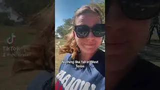 Windy fall vibes here! 