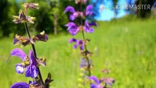 Лутший Праздник, детские христианские стихи и рассказы