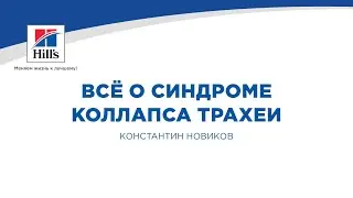 Вебинар на тему: «Всё о синдроме коллапса трахеи». Лектор - Константин Новиков.
