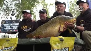 Cereal Boilies - 30.70kg - IBCC