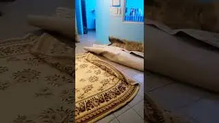 Фабрика Чистоты Стирка Ковровых изделий