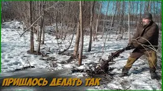 ПОСАДИЛ сад РАСЧИЩАЮ участок в ДЕРЕВНЕ поход в ЛЕС