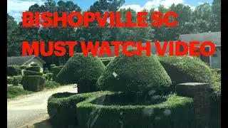 Bishopville SC,  Pearl Fryar Topiary Garden