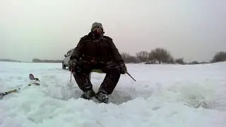 Зимняя рыбалка на реке Амур. Синда, хлопушки победили.