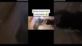 Дай поцелую | 