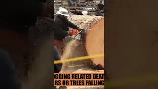 BEST  OF The  Dangerous Jobs IN LIFE  🔥🔥🔥👍👍