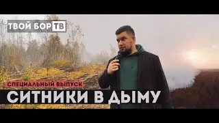 ТВОЙ БОР ТВ: Горят торфяники в Ситниках. Специальный выпуск.