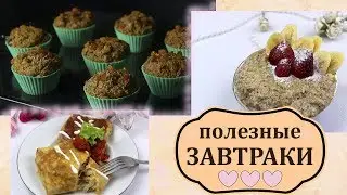 ПОЛЕЗНЫЕ ПП варианты ЗАВТРАКА / овсяные кексы, ленивая овсянка, омлет с курицей и сыром // ПП и ЗОЖ